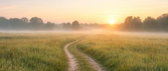 Rebuilding steadiness after survival takes time and structure.